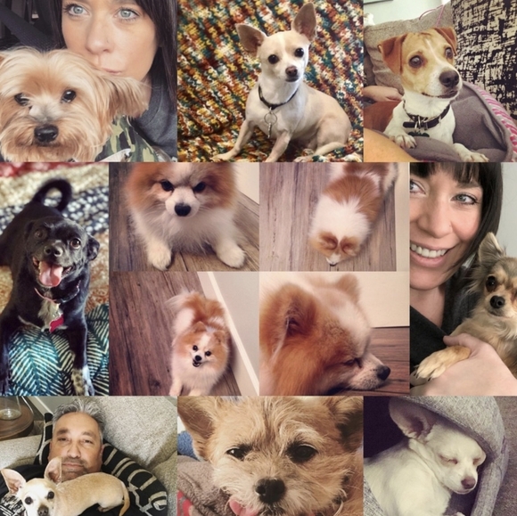 Meet your Posh Ambassador, Jana - Picture 14 of 16